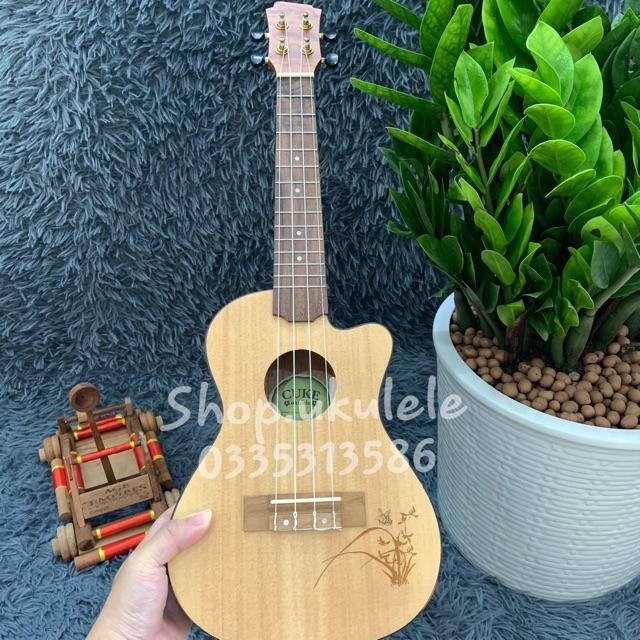 ĐÀN UKULELE CONCERT HOA KHUYẾT 23INCH KHÓA GOLD