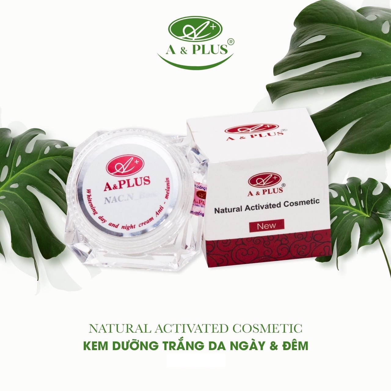 Hỗ Trợ Trị Nám Làm Trắng Giúp Da Tươi Trẻ A&amp;Plus Natural Activated (12g)