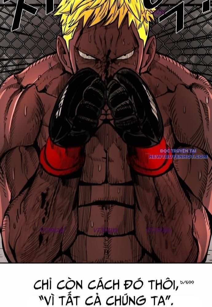shark - cá mập chapter 262 6
