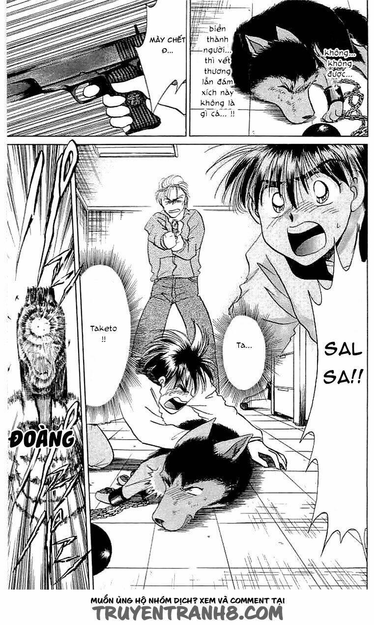 wild half chapter 15 17