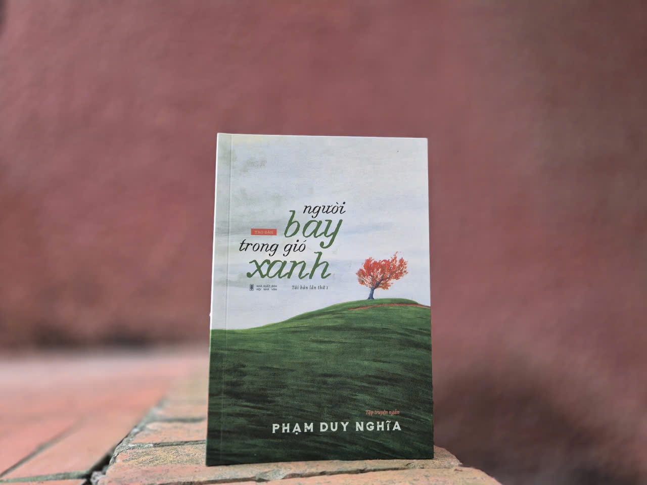 Sách Người Bay Trong Gió Xanh