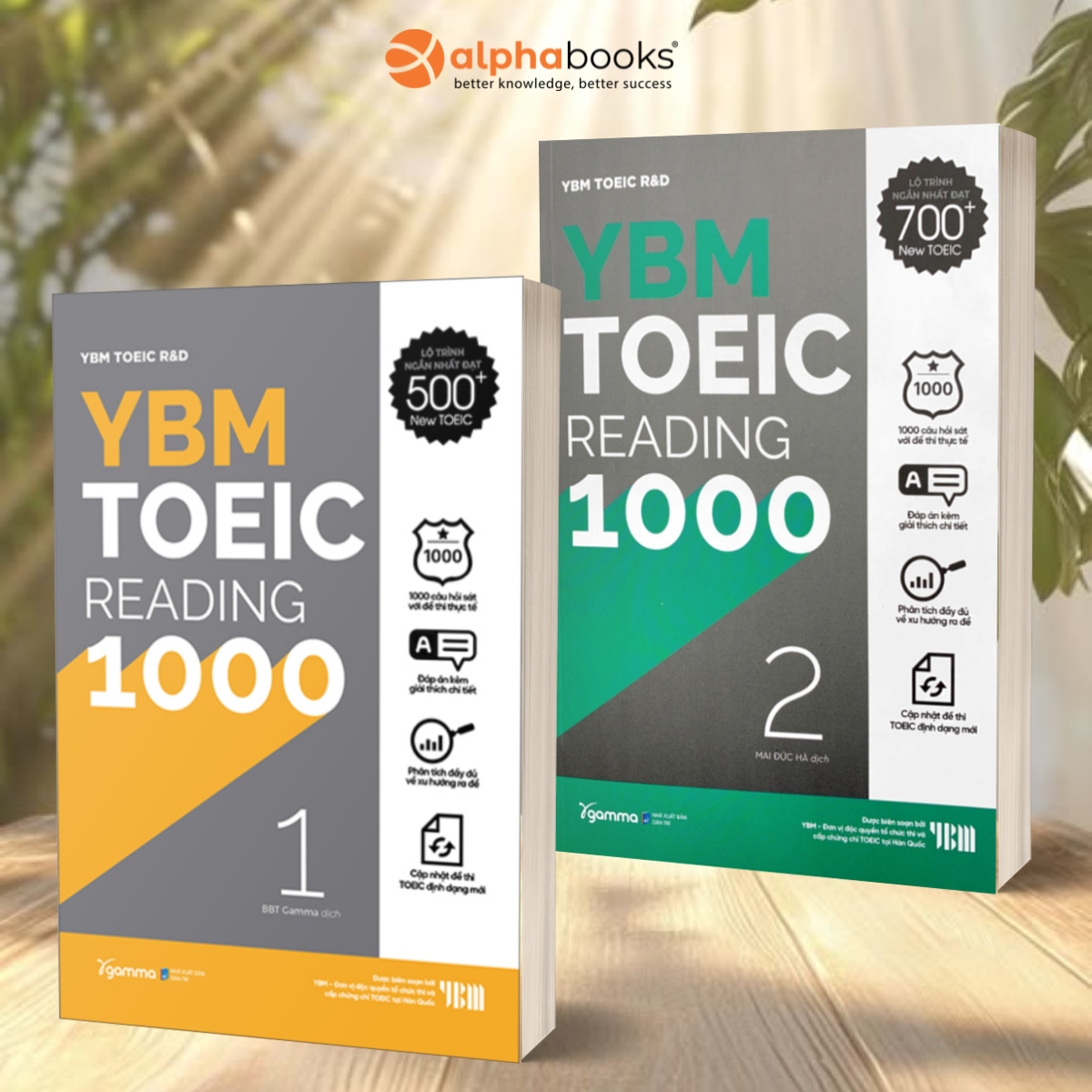 Combo YBM TOEIC Reading 1000 2 Vol (Trọn Bộ 2 Cuốn)