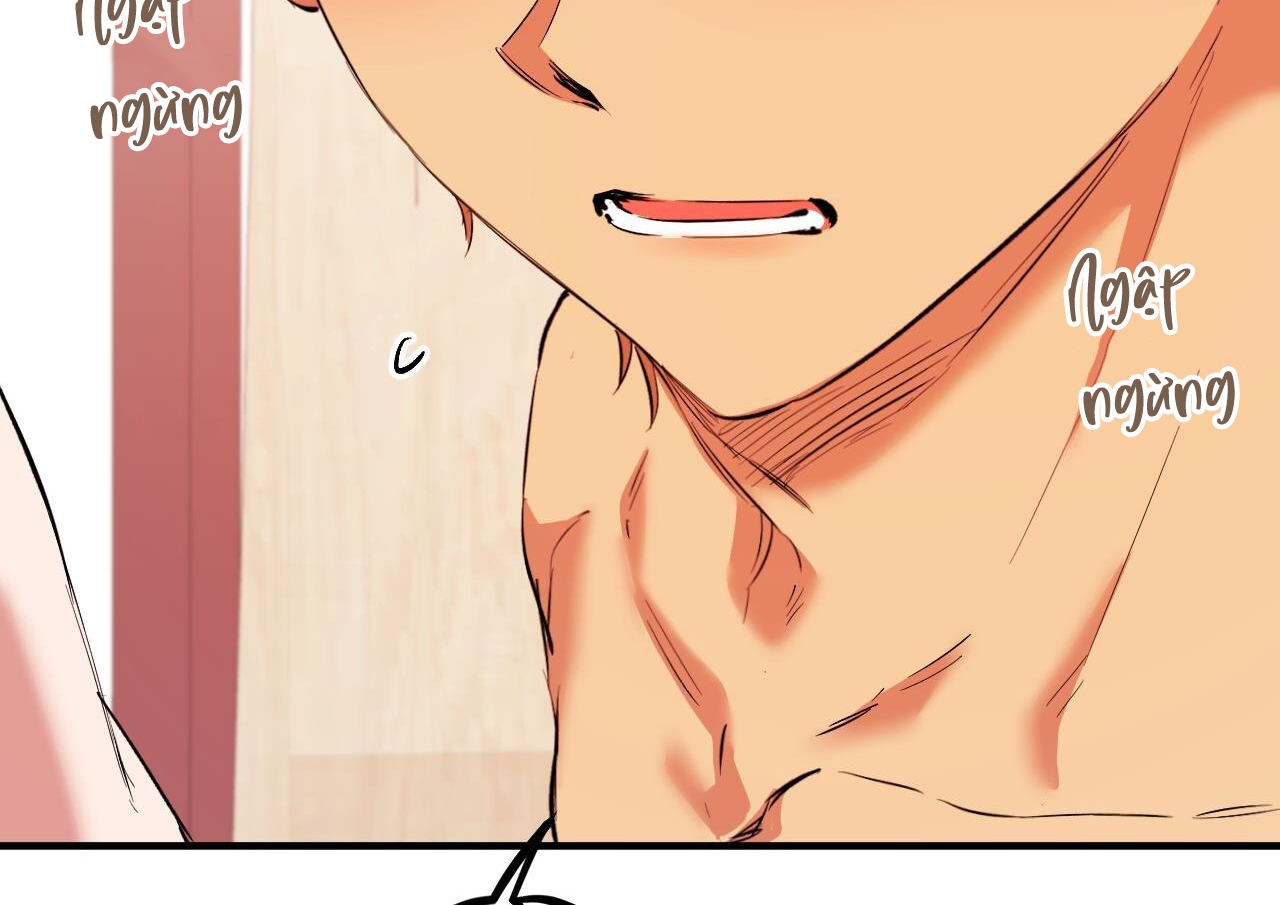 những chú thỏ của hapypy chapter 63 191