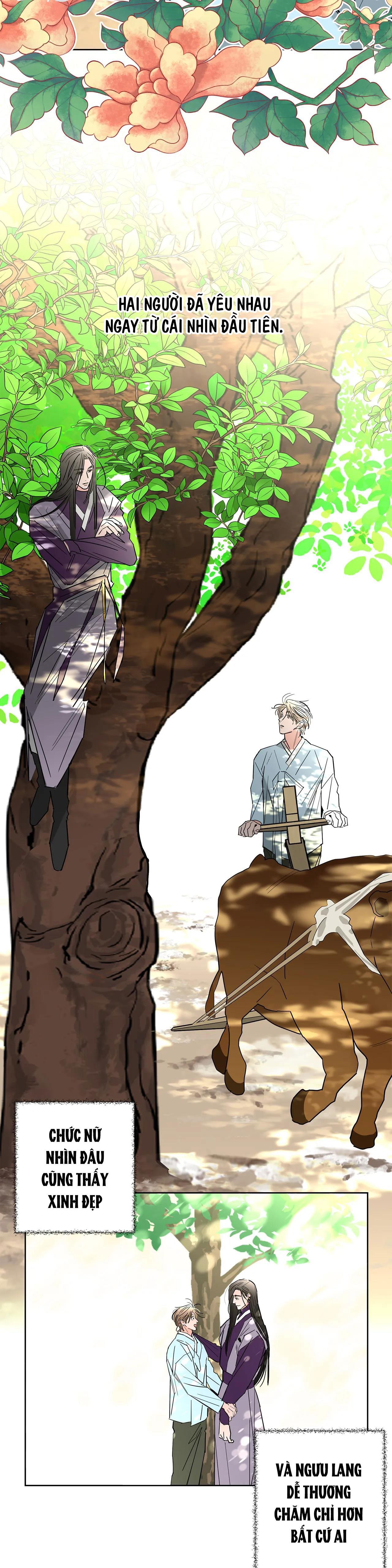 bl cổ trang - âu cổ ngắn nhà kim chapter 12.1 3
