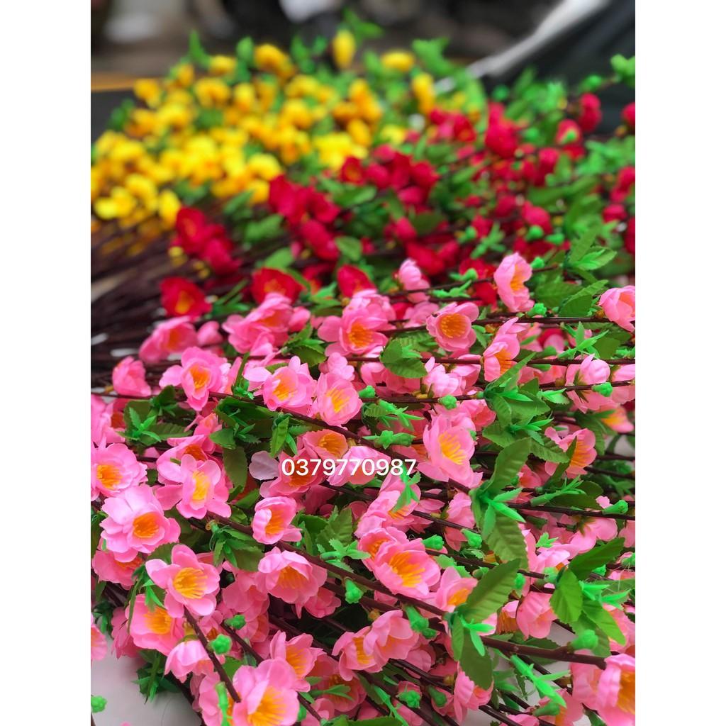 Hoa đào giả - Đào bích