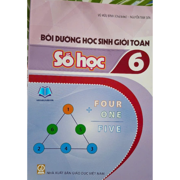 Sách - Combo Bồi dưỡng học sinh giỏi Toán - Đại Số + Hình học (Bài tập) lớp 6