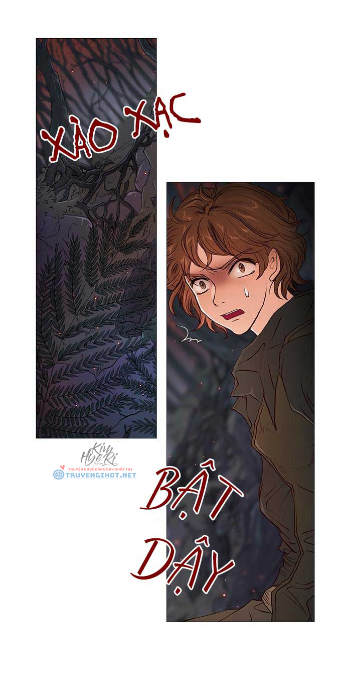 tôi chính là nhà sưu tập chim chapter 20 21