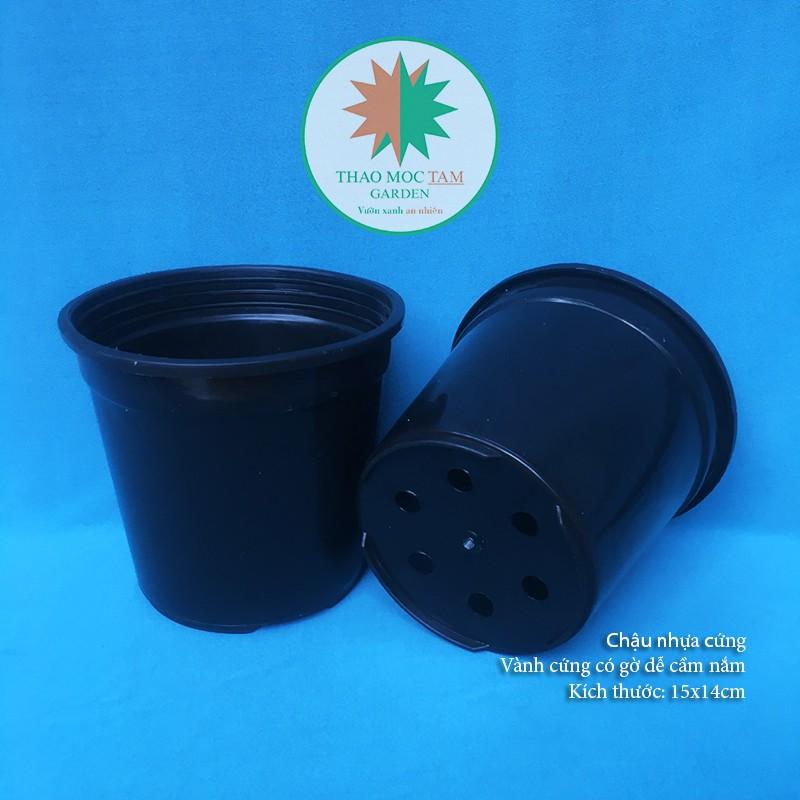 05c Chậu nhựa cứng 15x14cm – Chậu nhựa tròn, dày thích hợp trồng cây hoa, cây kiểng nhỏ, ươm trồng cây.