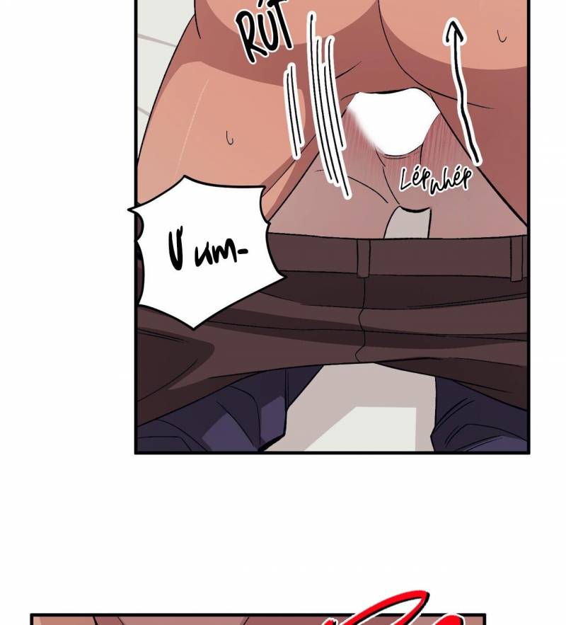 chàng dâu nhà họ kang chapter 50 69