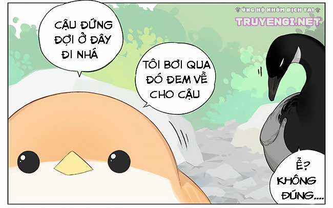 sẻ chiếu mới và nhạn phong sương chapter 8 4