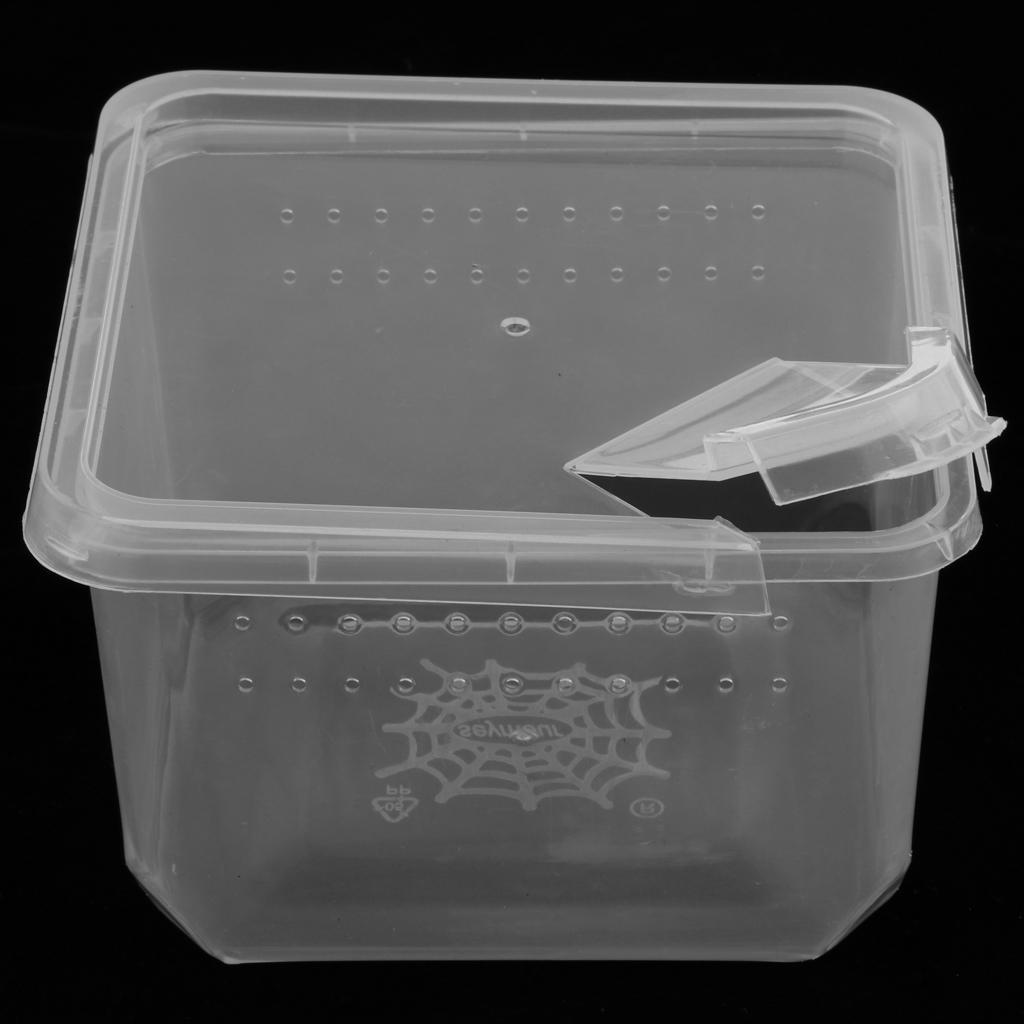 Reptiles Terrariums Feeding Box for Spider Insect Cricket Snail Frog L