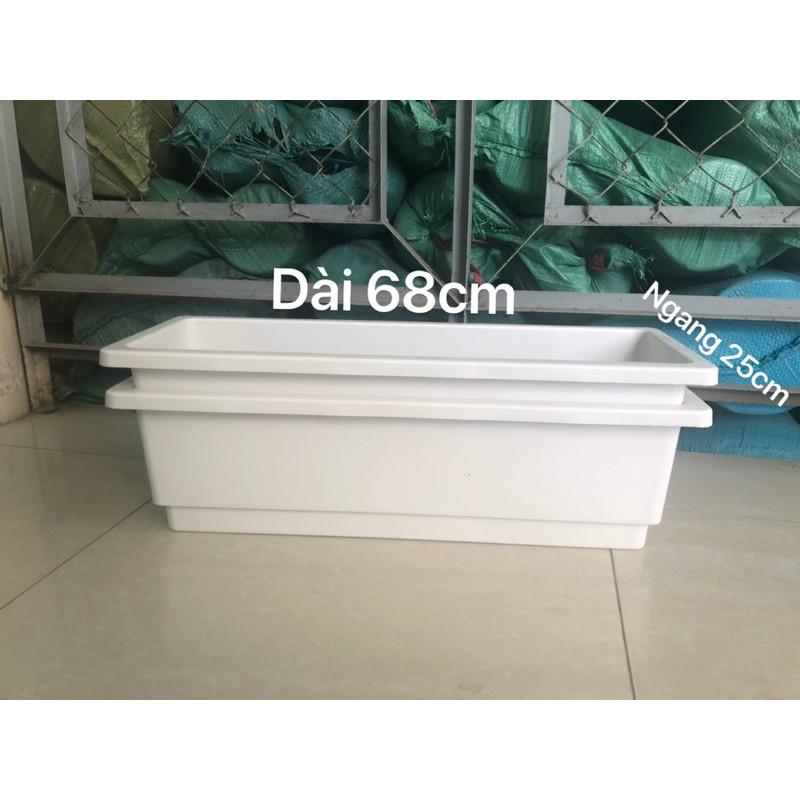 Máng trồng rau hoa kiểng các loại size