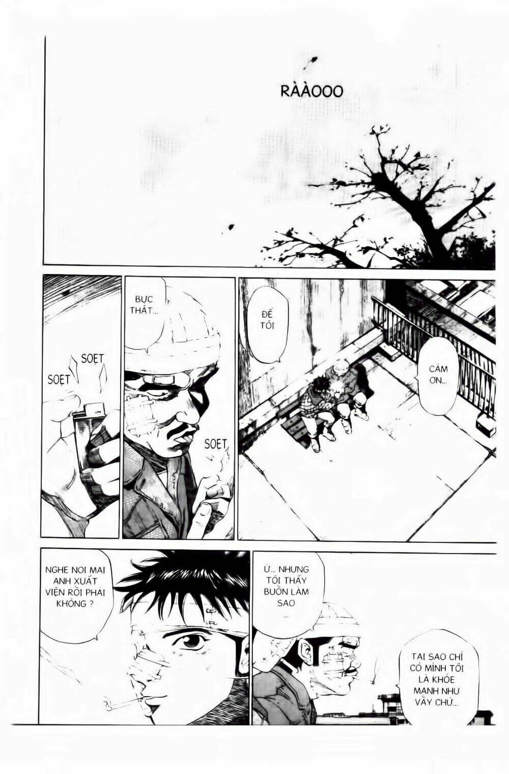 khỉ biển chapter 115 13