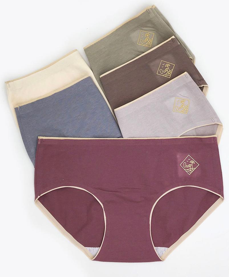 Combo 5 Quần lót cotton vừa cho người từ 48kg đến 60kg - Q38