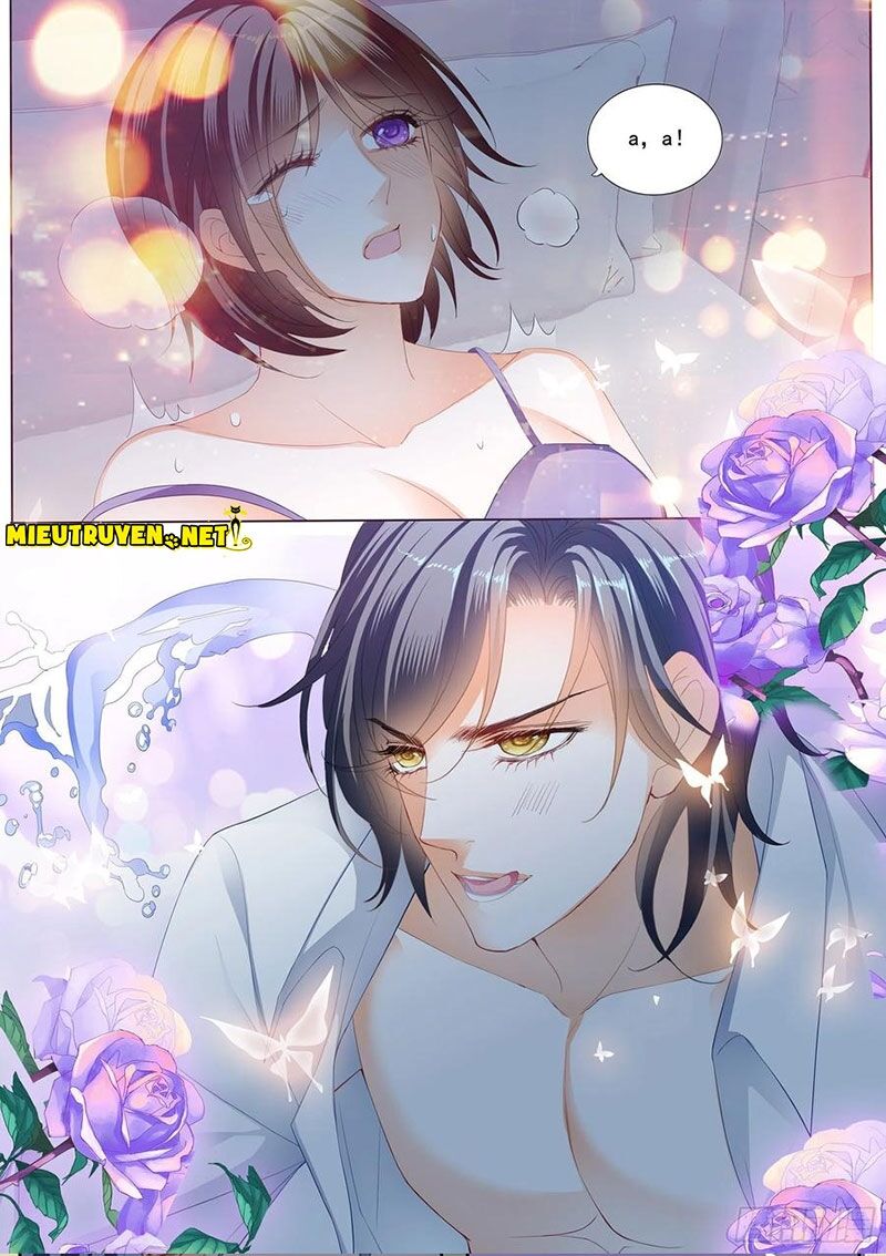 thiểm hôn kiều thê chapter 277 6