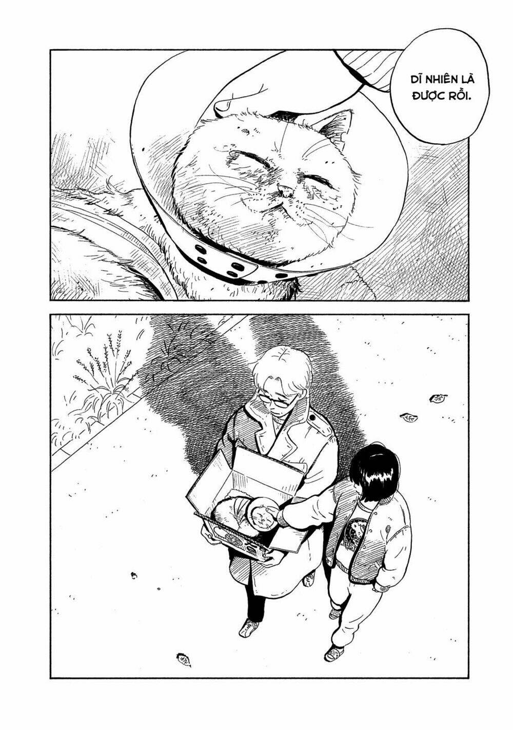 nora to zassou chapter 10 19