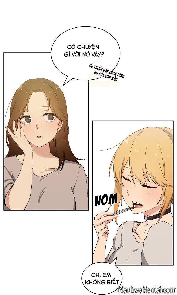 close as neighbors chapter 4 21