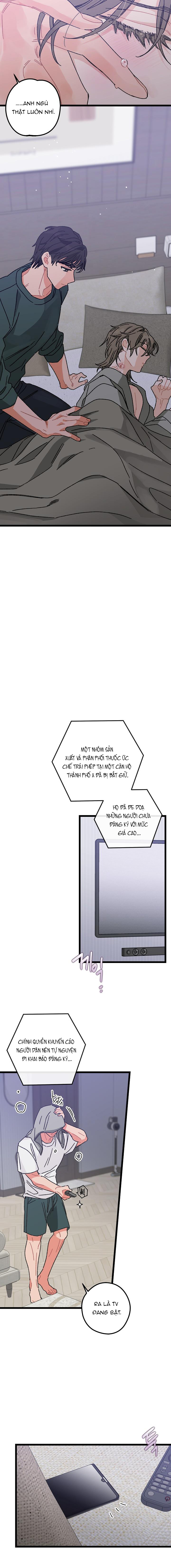 alpha thì có sao? chapter 1 11