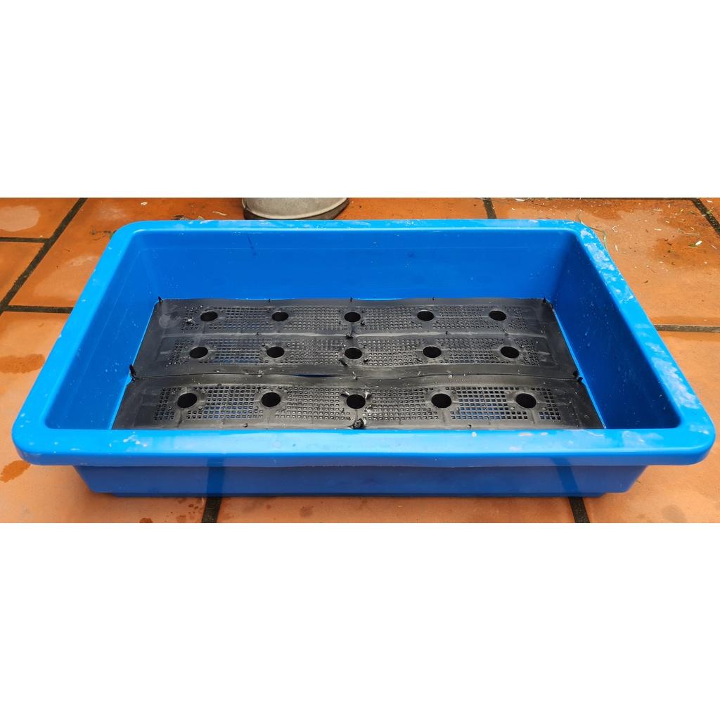 Chậu trồng rau, trồng hoa cỡ lớn đa sắc màu