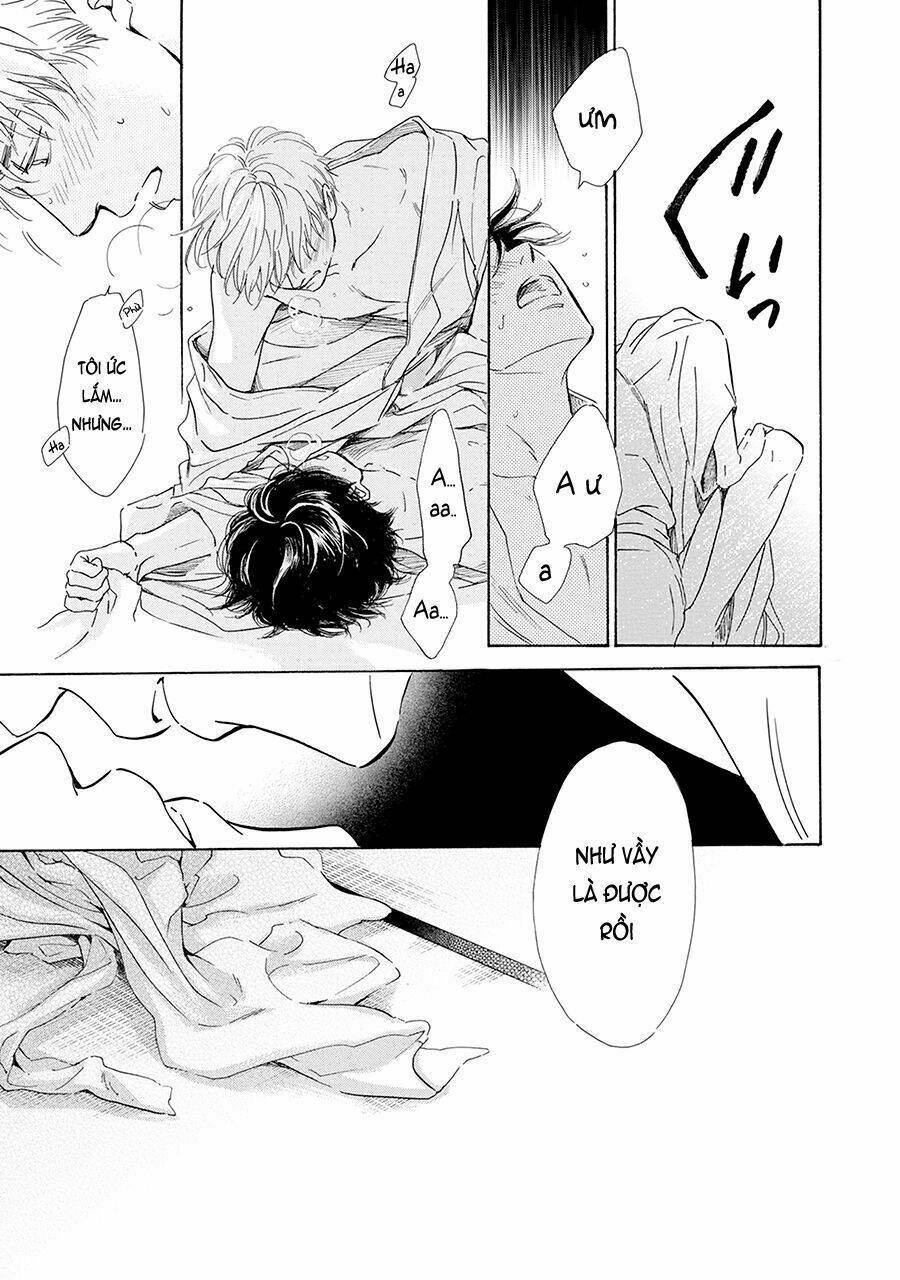 bình minh u sầu chapter 39 42