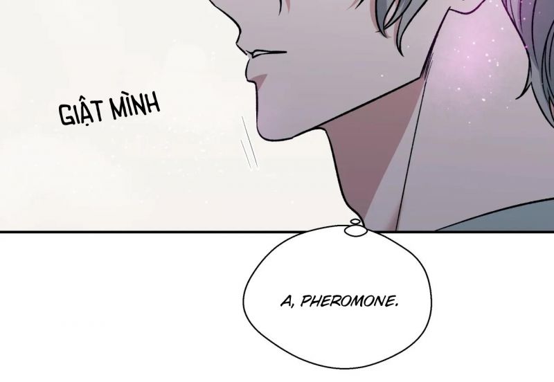 ám ảnh pheromone chapter 39 13