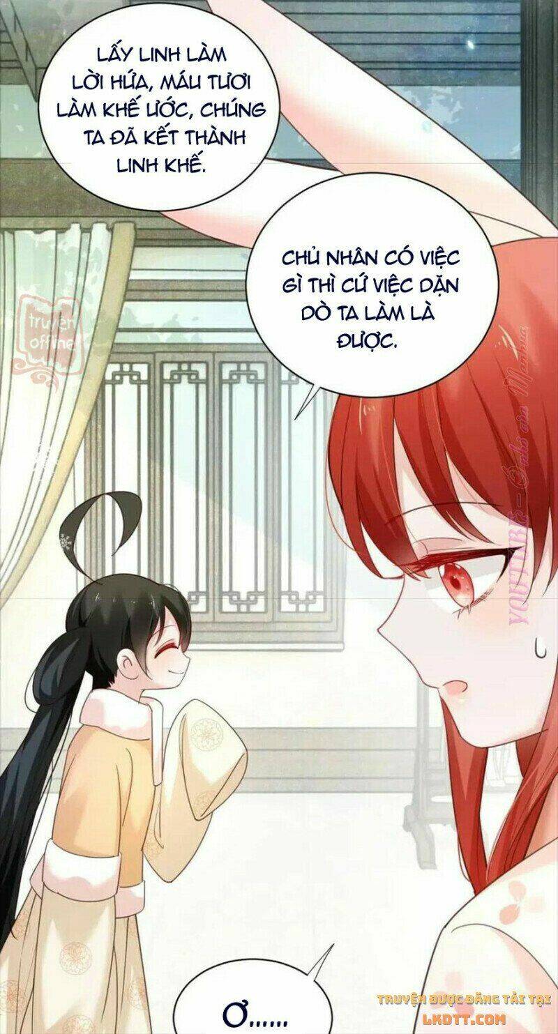 hắc hóa nam chính trực tuyến nuôi thỏ chapter 55 11