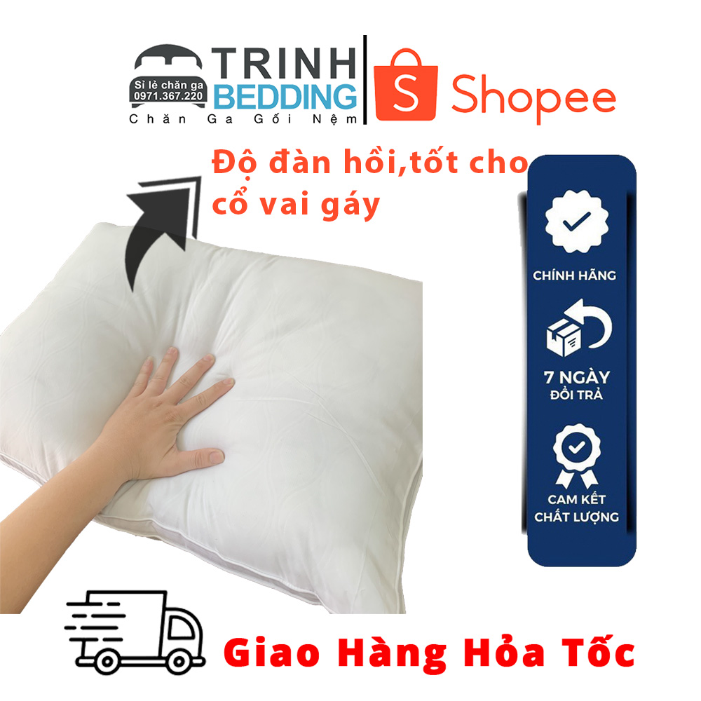 Ruột gối nằm cao cấp bông lông vũ Nằm Cực Đã Trinhbedding