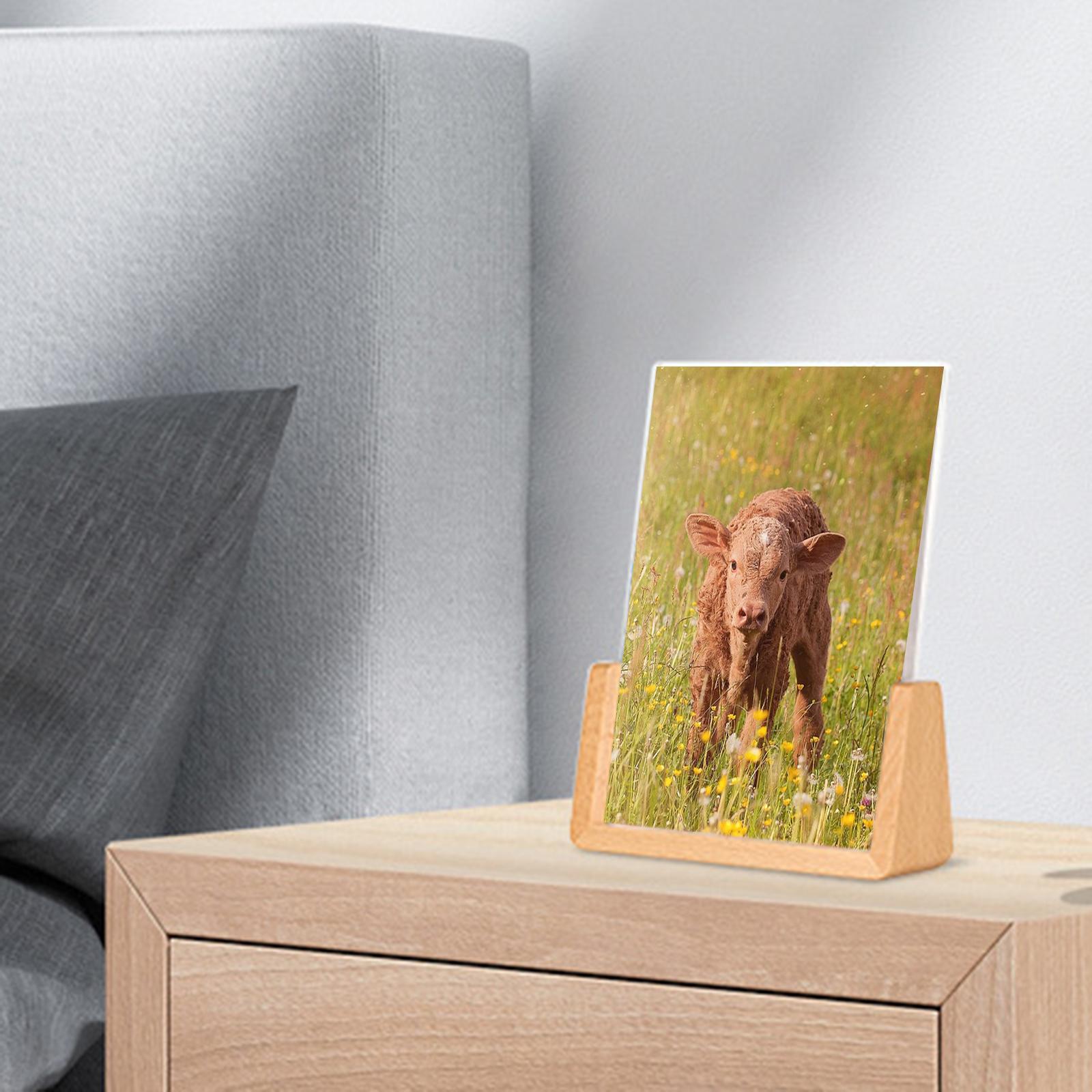 Photo Frame Display 5/6/7inch Double Sided Picture Frames 8.9x12.7cm