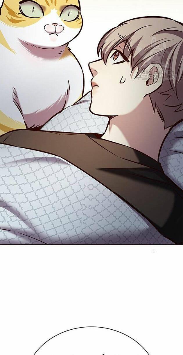 biến thân thành mèo chapter 214 79