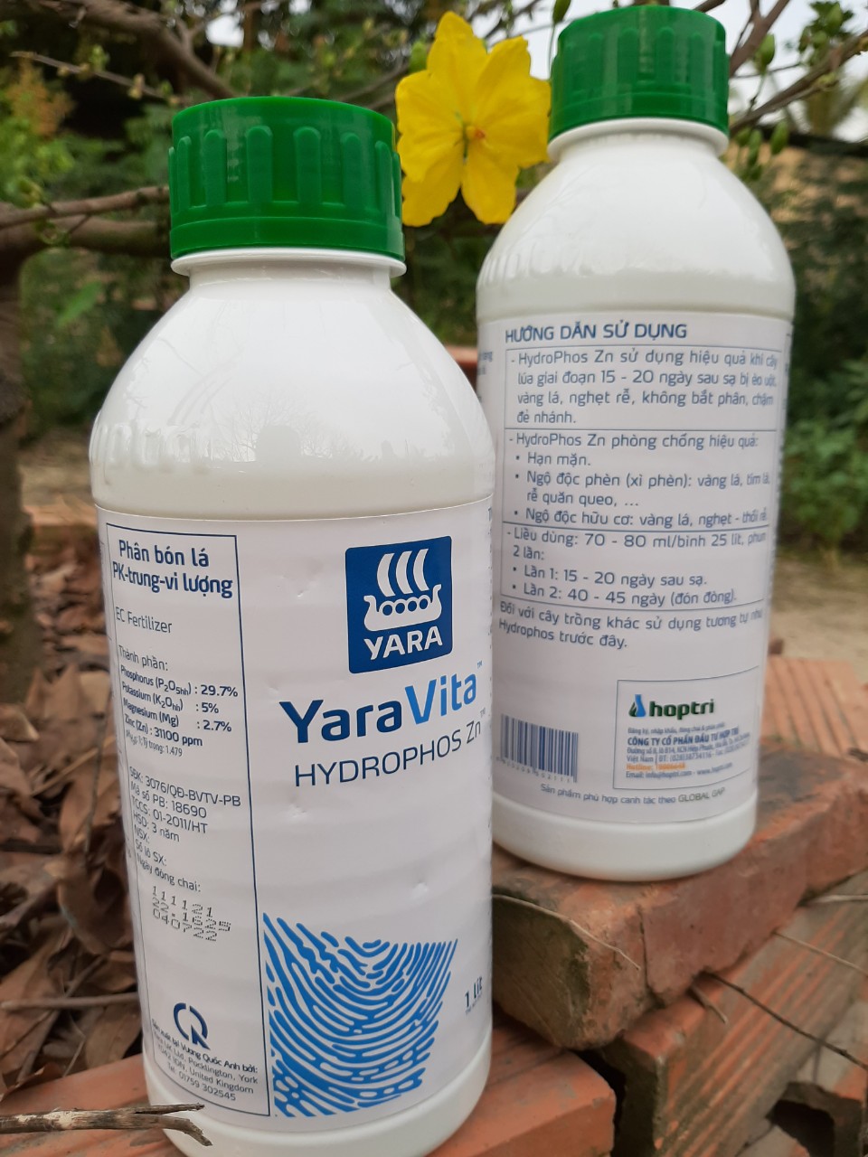 Phân bón lá trung vi lượng YaraVita Hydrophos Zn chai 1 lít giúp tăng hấp thu phân bón, ra rễ, đẻ nhánh