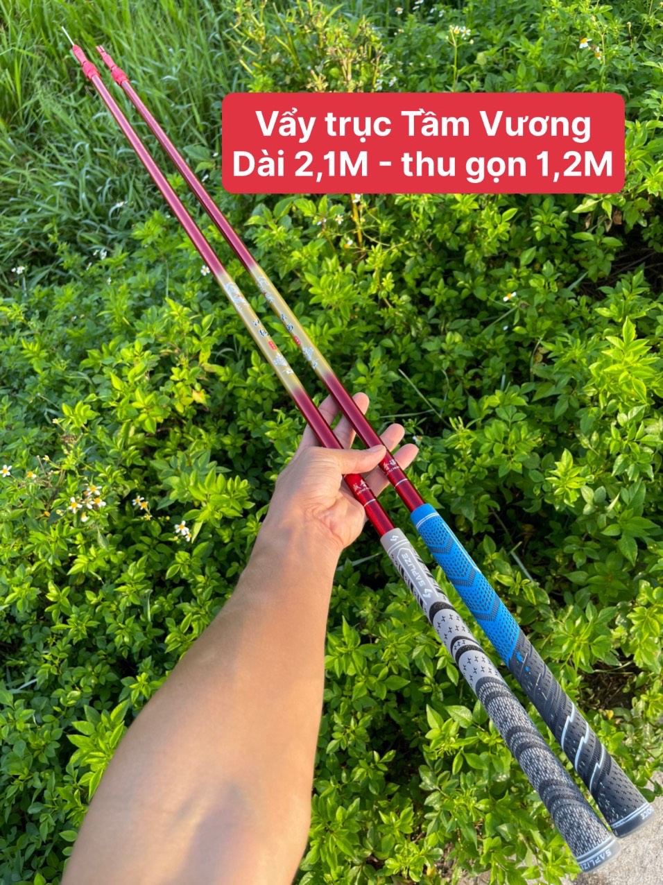 Vẩy Trục Câu Đài Tầm Vương 1m6 - 2m1 Carbon Cao Cấp Siêu Nhẹ - Cứng - Khỏe