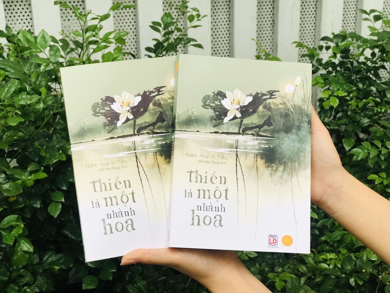 Sách Thiền là một nhành hoa