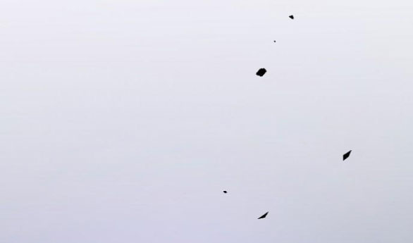 chiếm hữu trái tim bạo chúa chapter 9.1 68