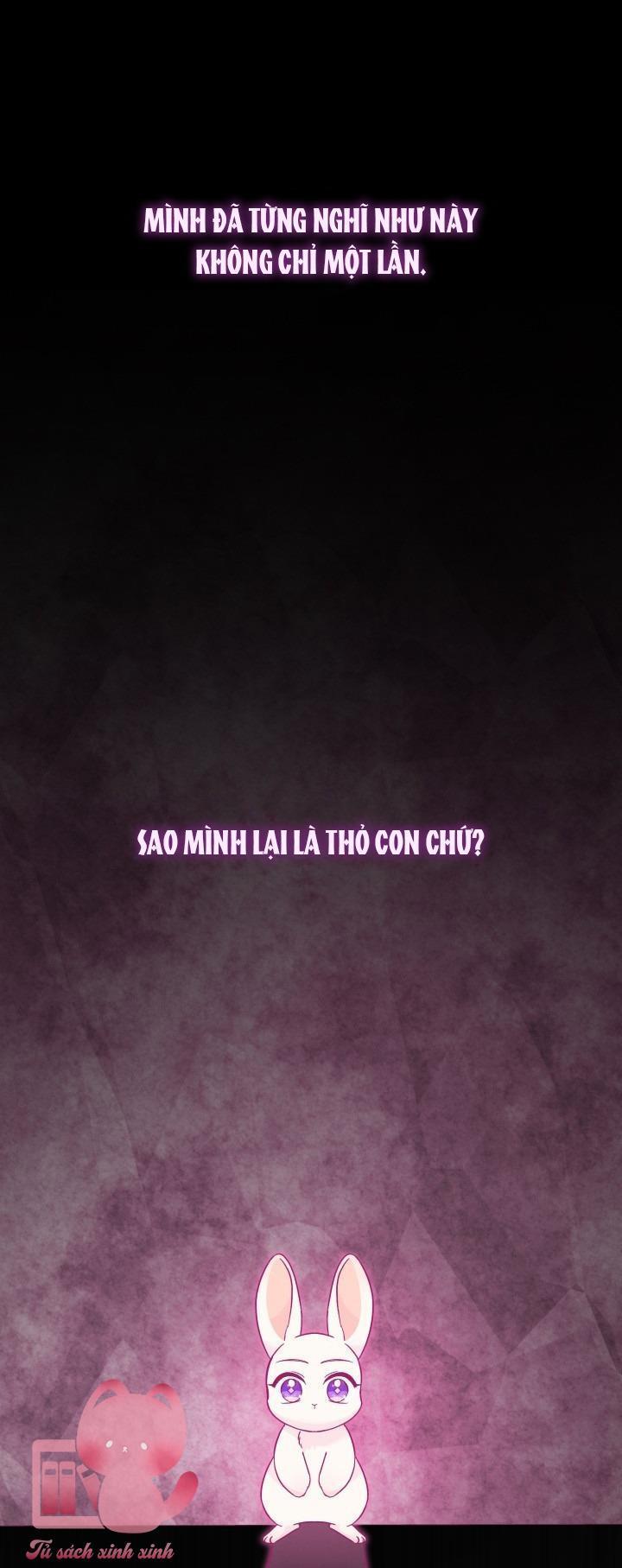 quan hệ cộng sinh giữa báo đen và thỏ trắng chapter 120 3