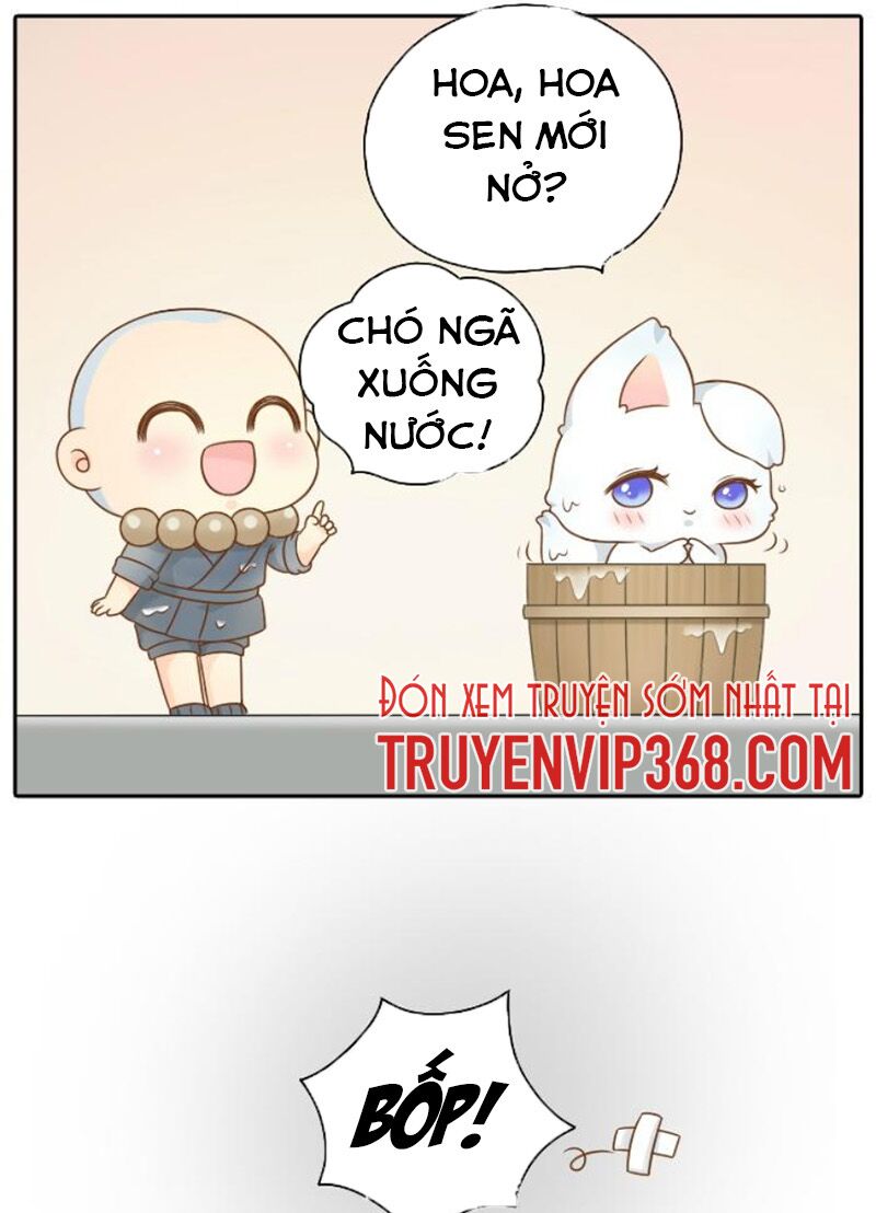 tiểu hoà thượng - chào mừng đến trấn yêu quái chapter 50 11