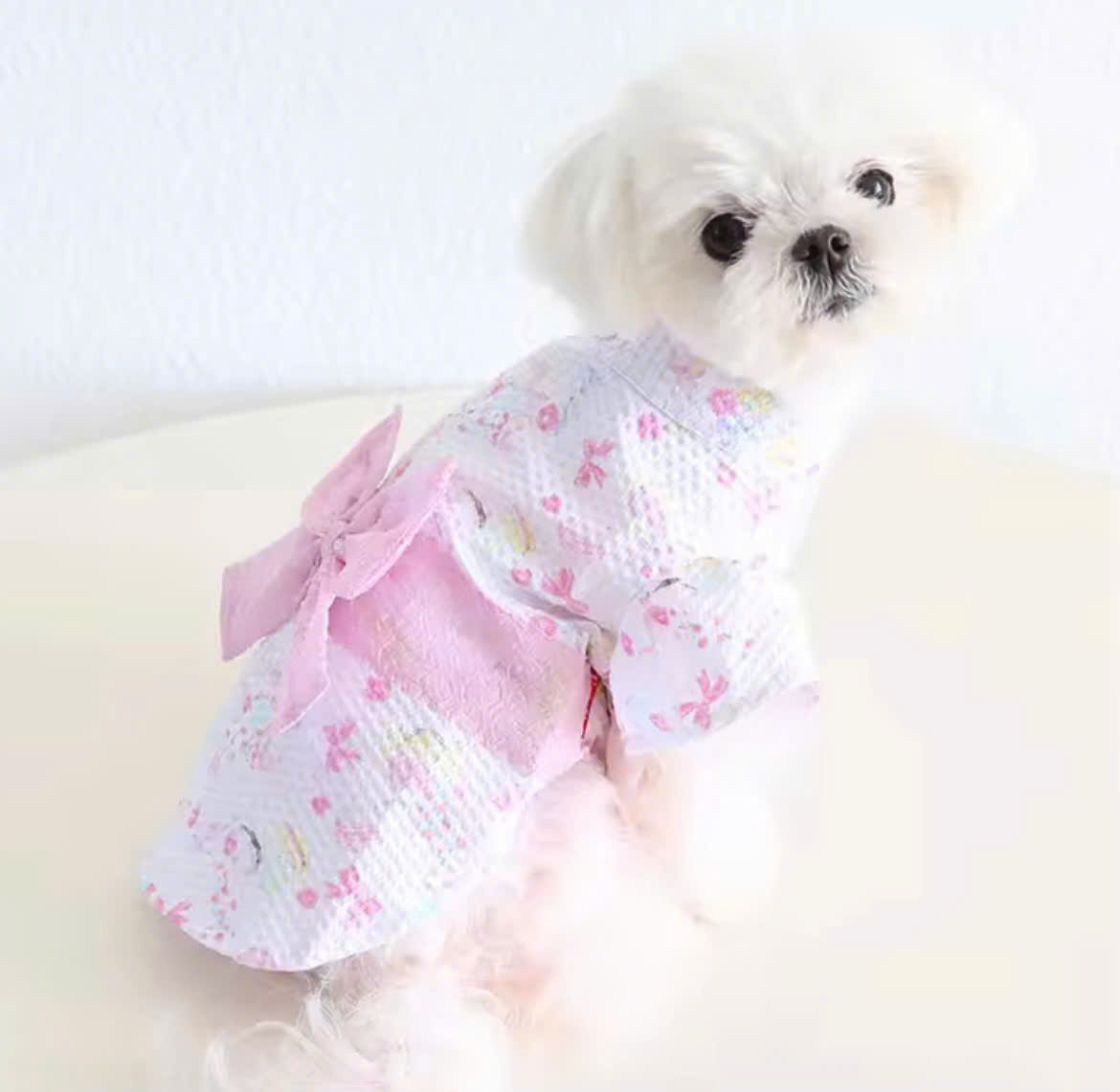 VÁY HỒNG KIỂU NHẬT BẢN SANG TRỌNG TỪ TỪ 0.5-8KG DÀNH CHO CHÓ MÈO