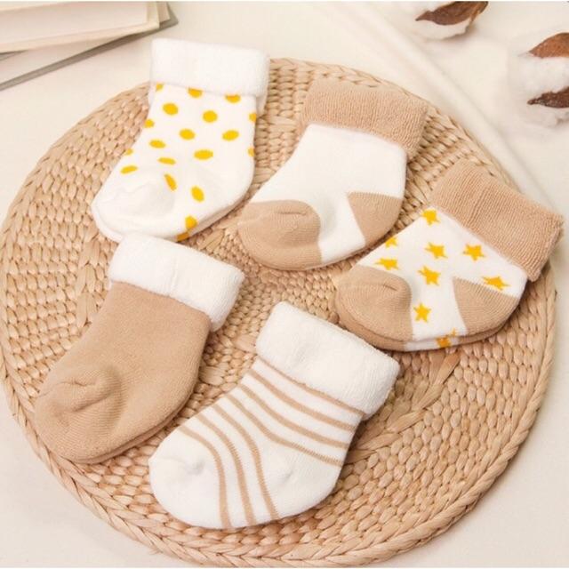 Set 5 đôi - Tất cotton co 4 chiều