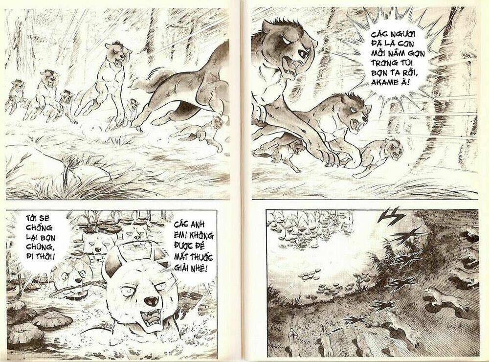 chú chó có nghĩa - ginga nagareboshi gin chapter 19 22