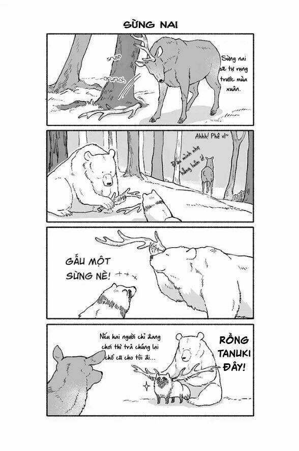 gấu và tanuki chapter 1 3