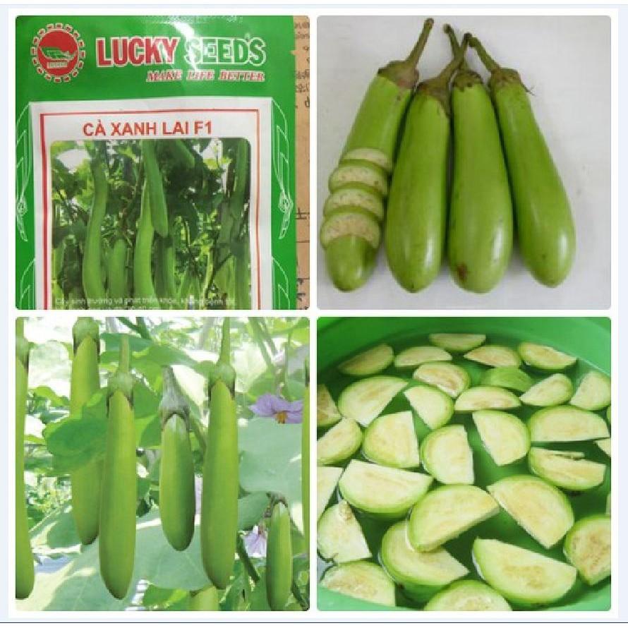 Hạt giống cà xanh lai trái dài - 2gr/gói