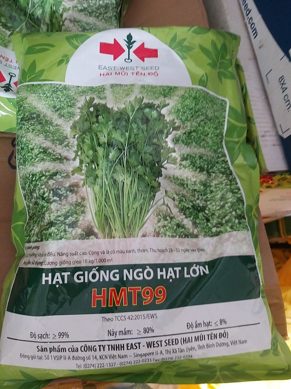 Hạt giống ngò hạt lớn HMT 99 Hai Mũi Tên Đỏ gói 1kg