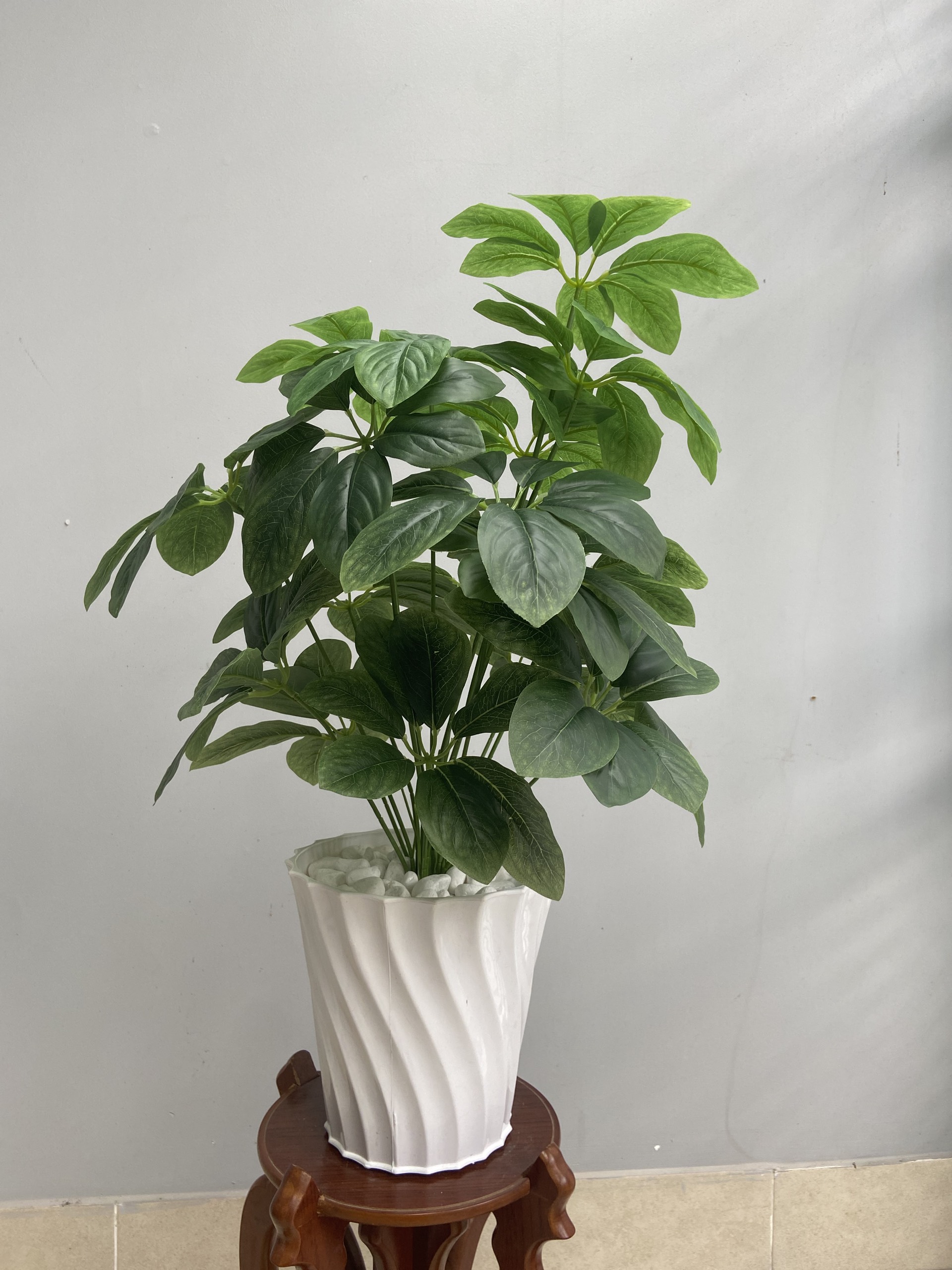 Cây kim ngân lượng, cây kim ngân lượng decor, cây ngân lượng giả trang trí, cây cheery 72cm