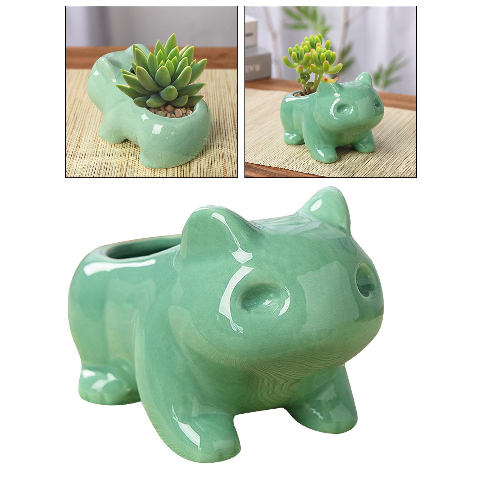 Cute Cartoon Frog Shaped Ceramic Succulent Cactus Pot Decor M
