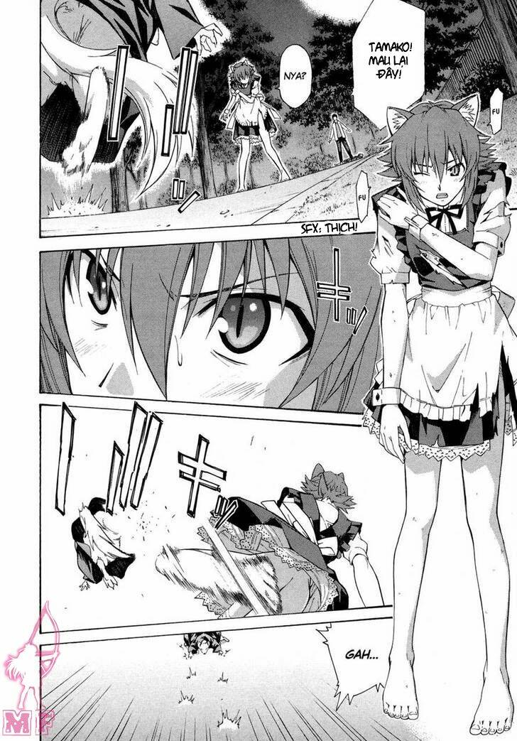isuca chapter 11 13