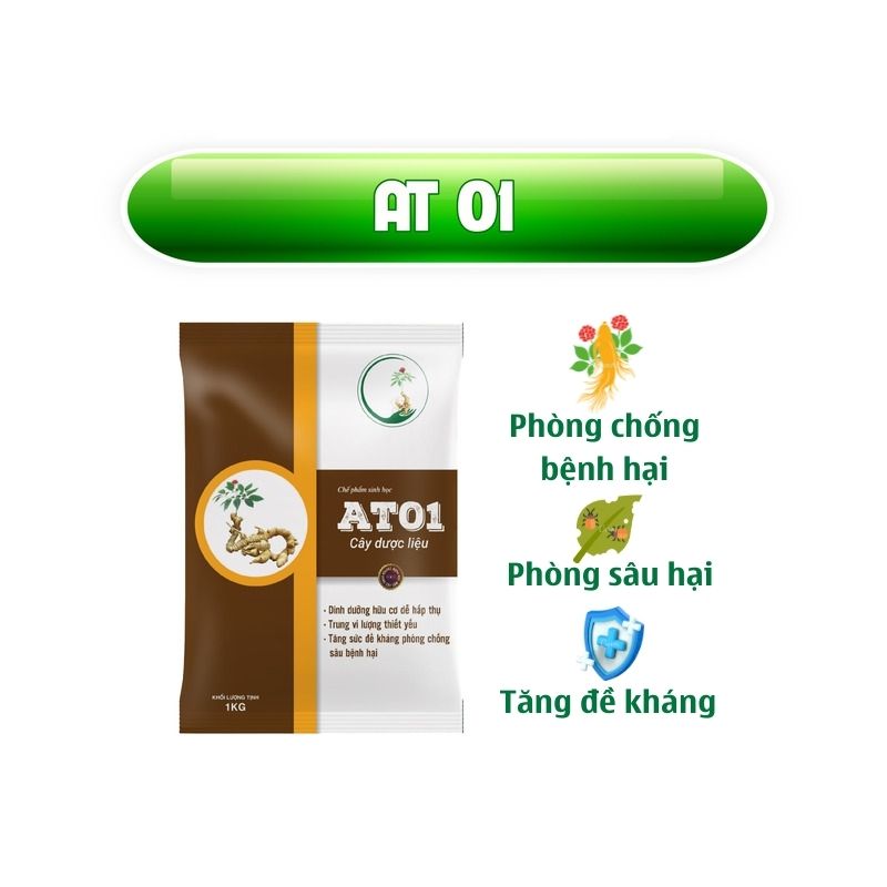 Chế Phẩm Trừ Sâu Sinh Học Ecom Chuyên Dùng Cho Sâm Ngọc Linh Tăng Sức Đề Kháng Phòng Chống Sâu Bệnh Hại – AT01 1kg