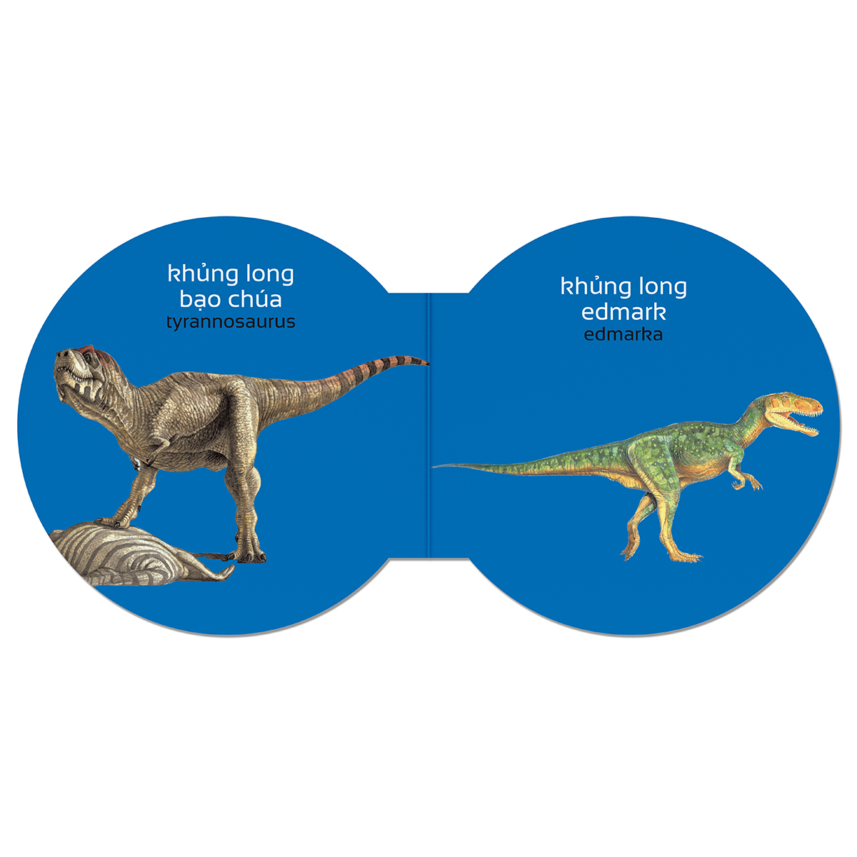 Picture Dictionary - Từ điển bằng hình - Khủng long – Dinosaurs