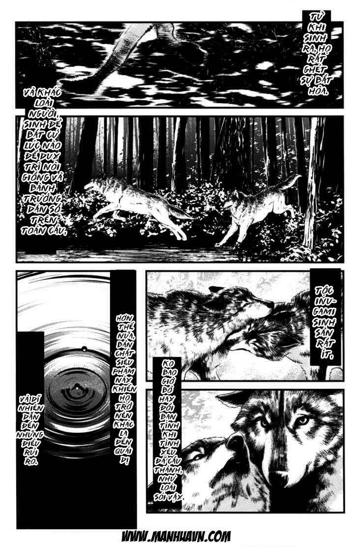 wolf guy - wolfen crest chapter 49 13