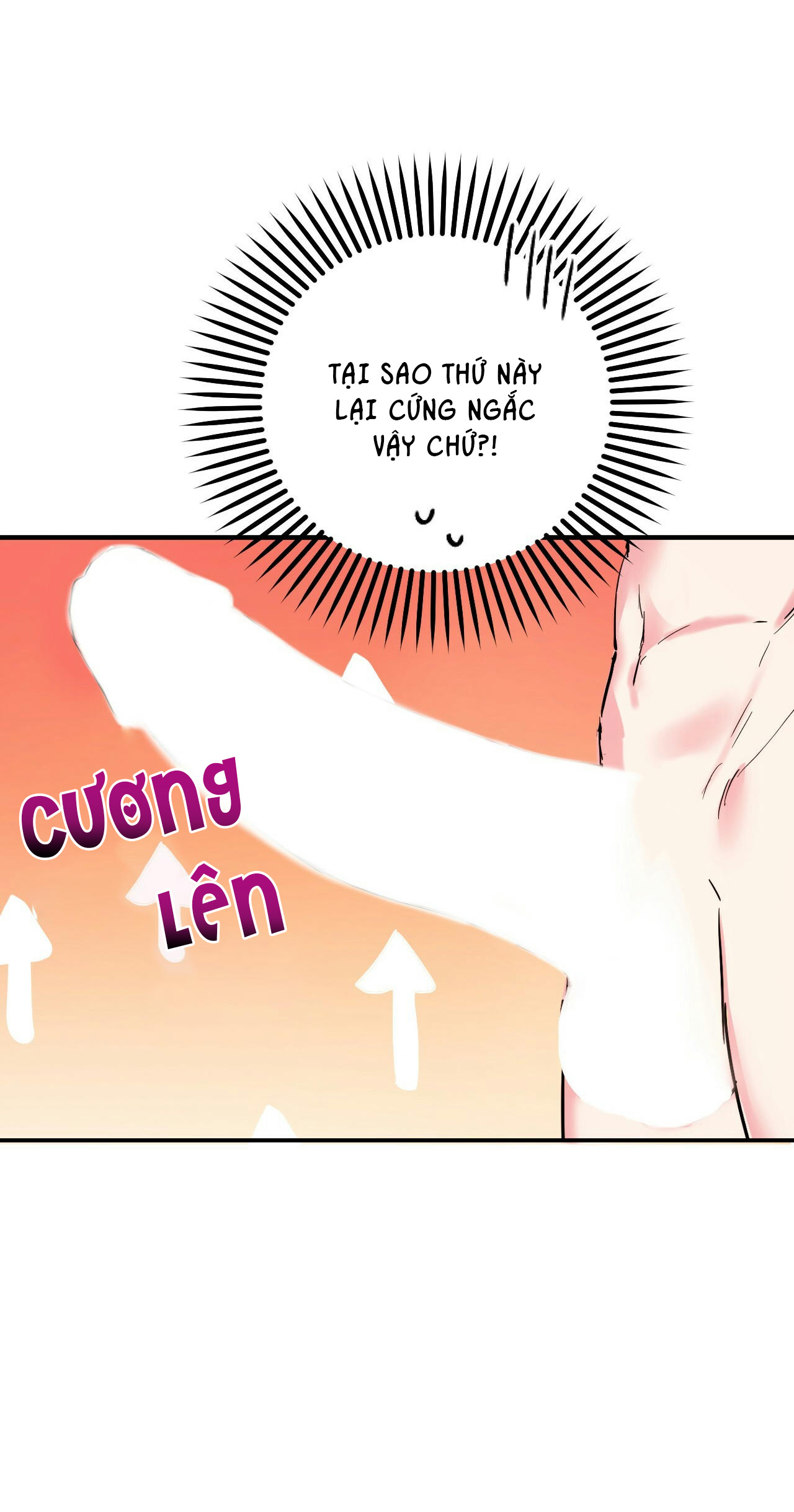 những chú thỏ của hapypy chapter 4 28