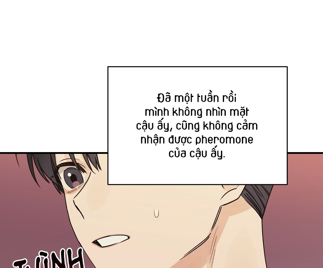 phức cảm tự ti của omega chapter 8 106