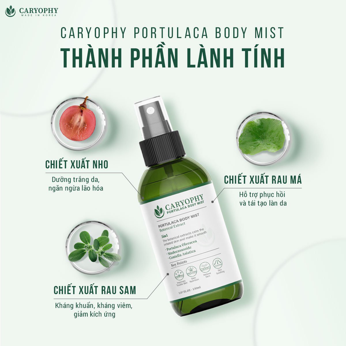 Xịt giảm mụn toàn thân Caryophy Portulaca Body Mist 150ml + Tặng 1 Mặt nạ dưỡng da Caryophy